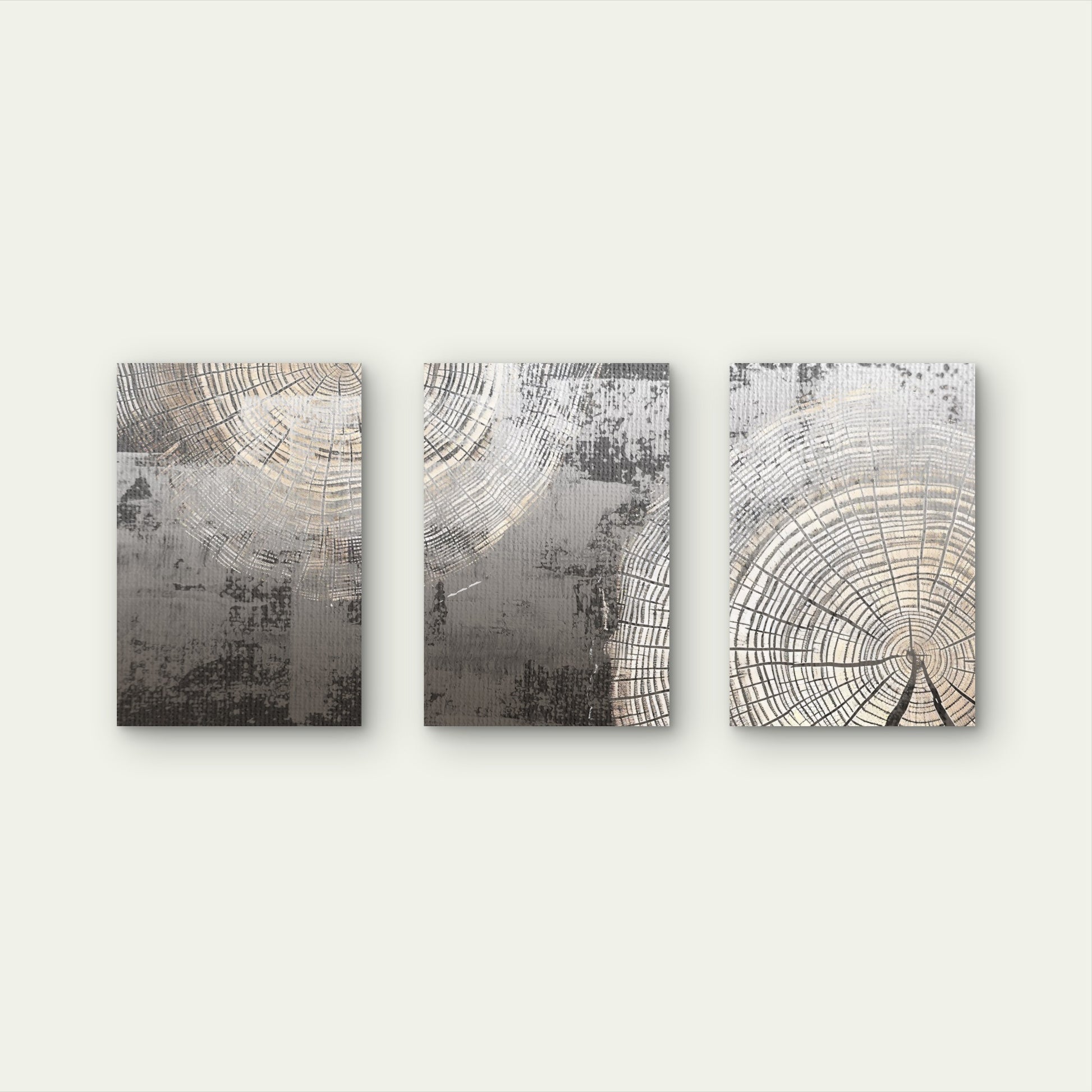 3pcs Abstract Rustic Grey Gold Tree Ring Wall Art Set Canvas Framed 40x60cm - High Quality Print 100% Australian Made Wall Canvas Ready to Hang