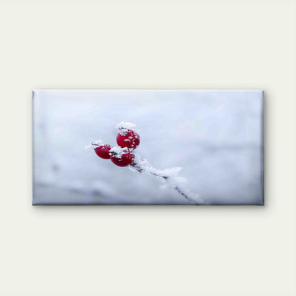 Frozen Red CWall Art Canvas Office Home Room Framed 120x60cm