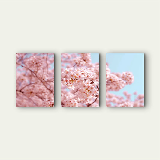 3pcs Pink Cherry Blossoms Against Blue Sky Wall Art Set Canvas Framed 60x90cm - High Quality Print 100% Australian Made Wall Canvas Ready to Hang - Bella Home Decor