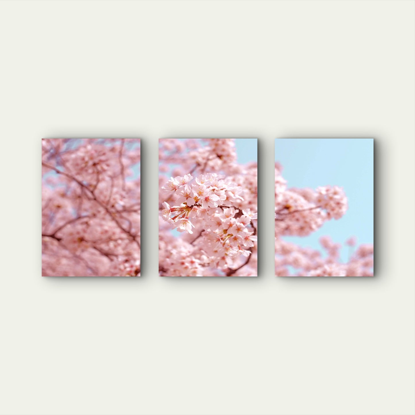3pcs Pink Cherry Blossoms Against Blue Sky Wall Art Set Canvas Framed 50x70cm - High Quality Print 100% Australian Made Wall Canvas Ready to Hang - Bella Home Decor