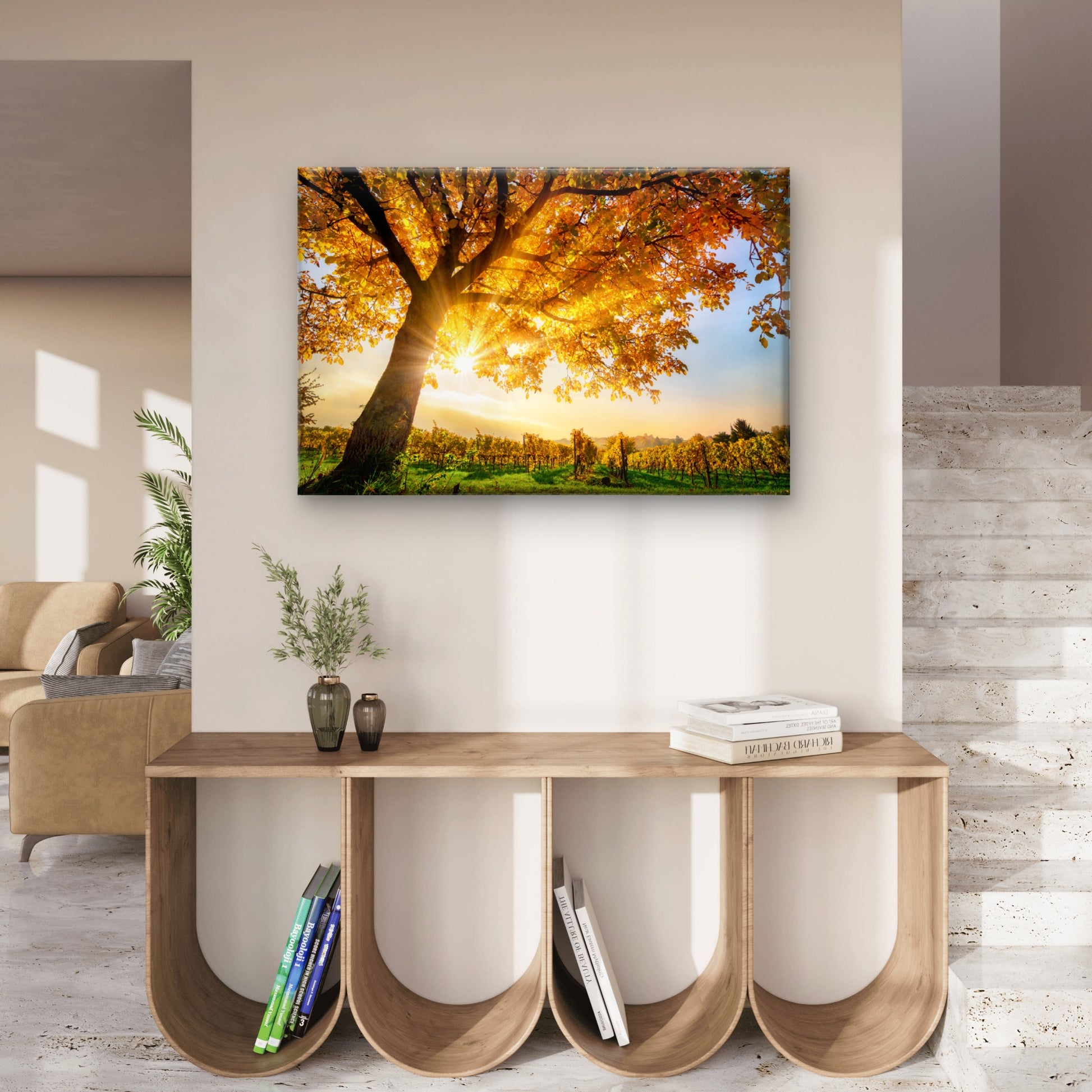 Sunshine Through Autumn Tree View Photograph Print 100% Australian Made