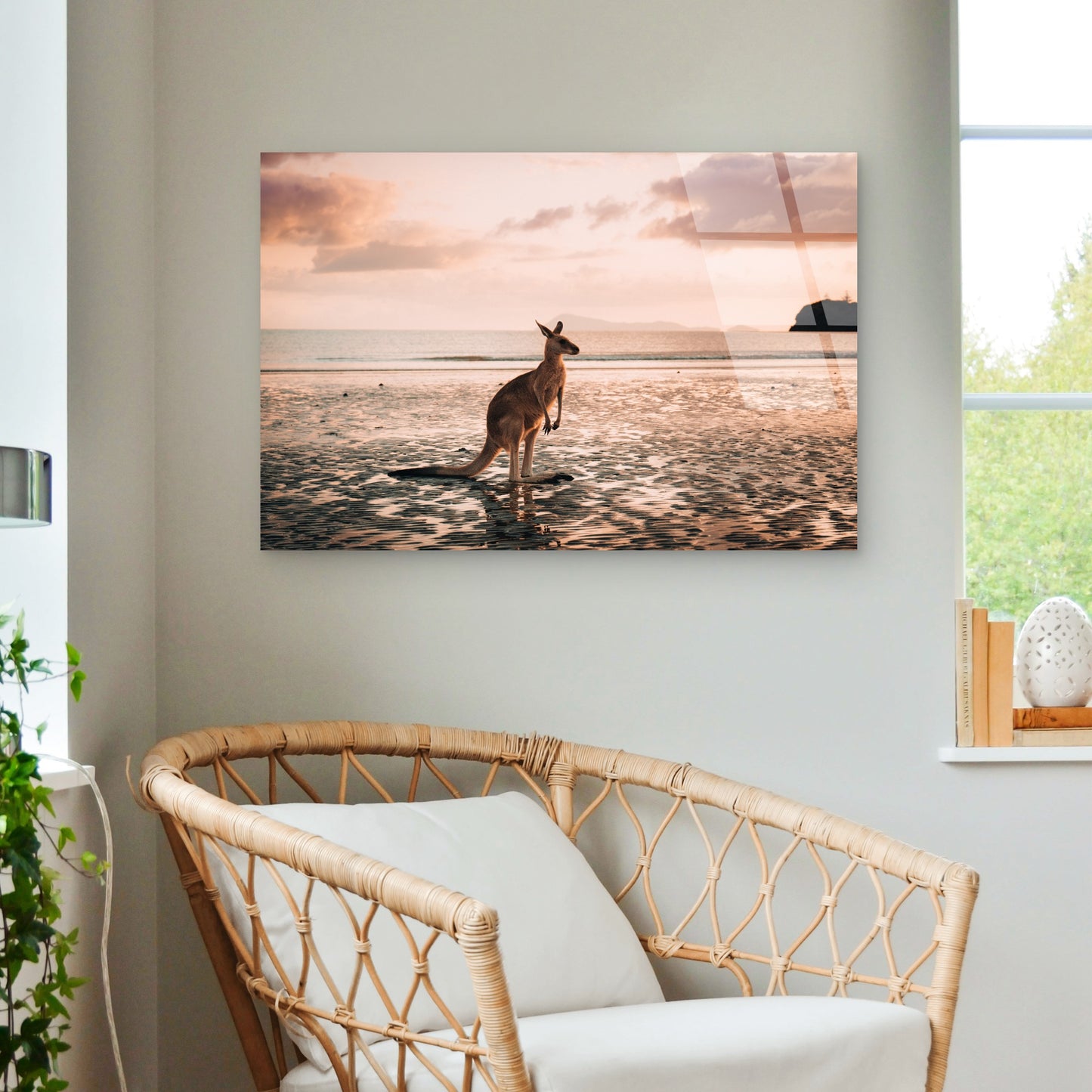 Kangaroo on Cape Hillsborough Beach at Sunrise  Acrylic Glass Printing Wall Art Australian Made Quality