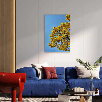 Vibrant Yellow Flowers Of A Golden Trumpet Tree 40x60cm Metal Print Ready to Hang
