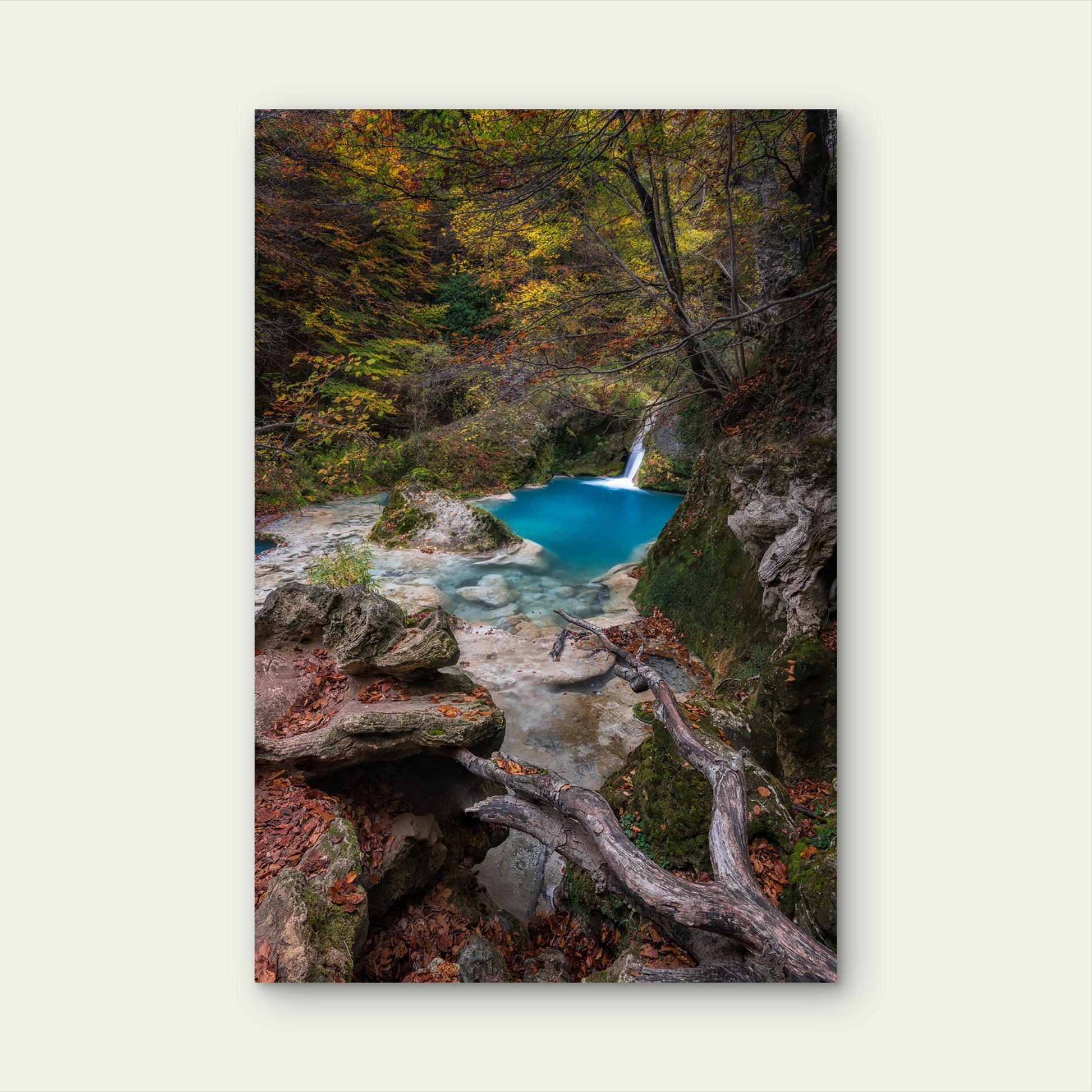 Turquoise Water Spring Autumn Forest 40x60cm Metal Print Ready to Hang