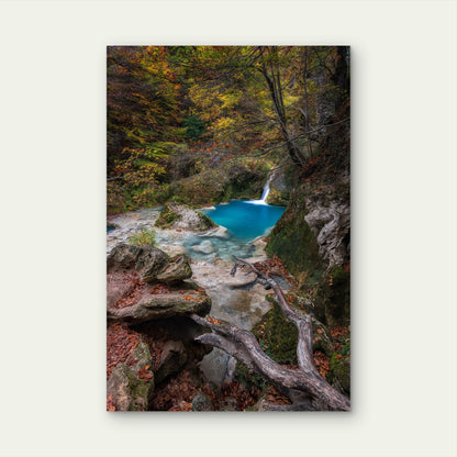 Turquoise Water Spring Autumn Forest 40x60cm Metal Print Ready to Hang