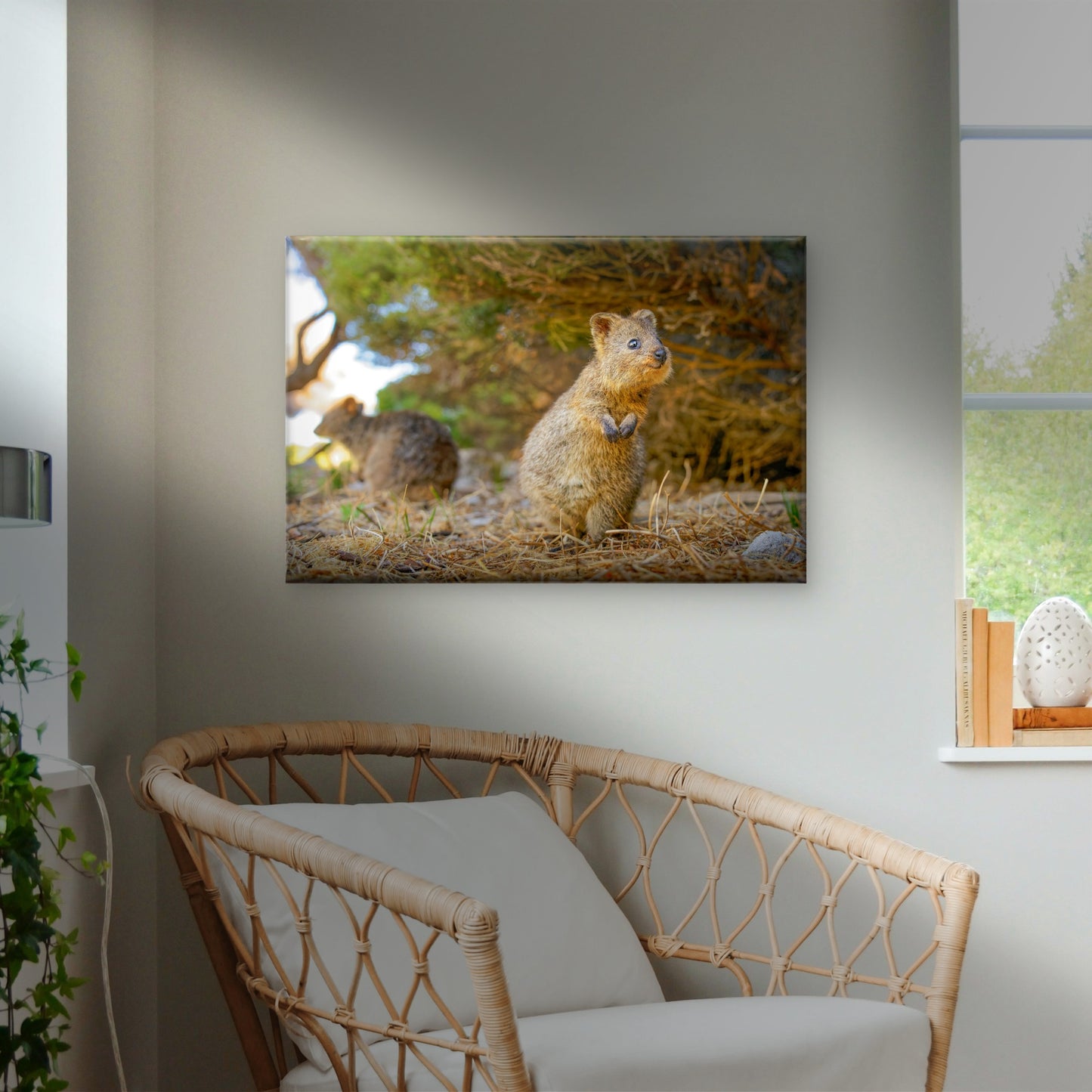 Quokka Western Australia Wildlife Wall Art Decor 100% Australian Made