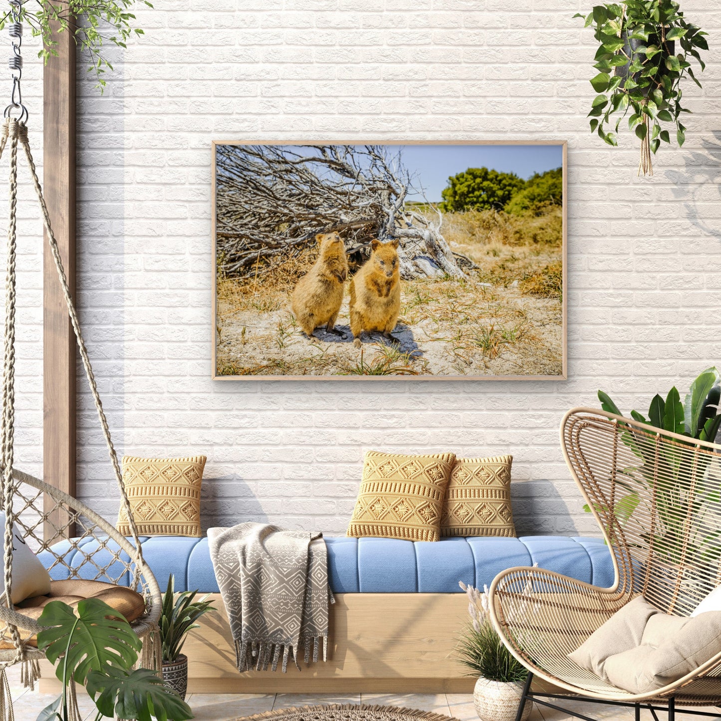 Quokka Rottnest Island Western Australia Wall Art Decor 100% Australian Made