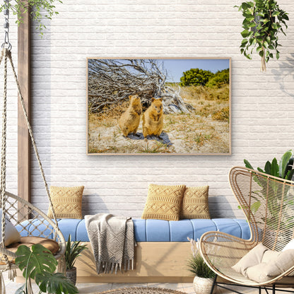 Quokka Rottnest Island Western Australia Wall Art Decor 100% Australian Made