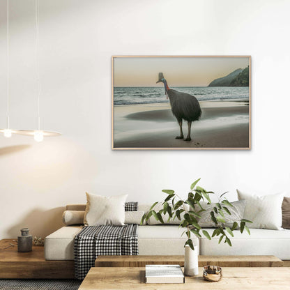 Southern Cassowary Etty Bay Queensland Wall Art Decor 100% Australian Made
