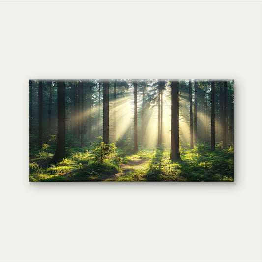 Sunburst Sun Rays Mystic Forest Wall Art Canvas Office Home Framed 120x60cm