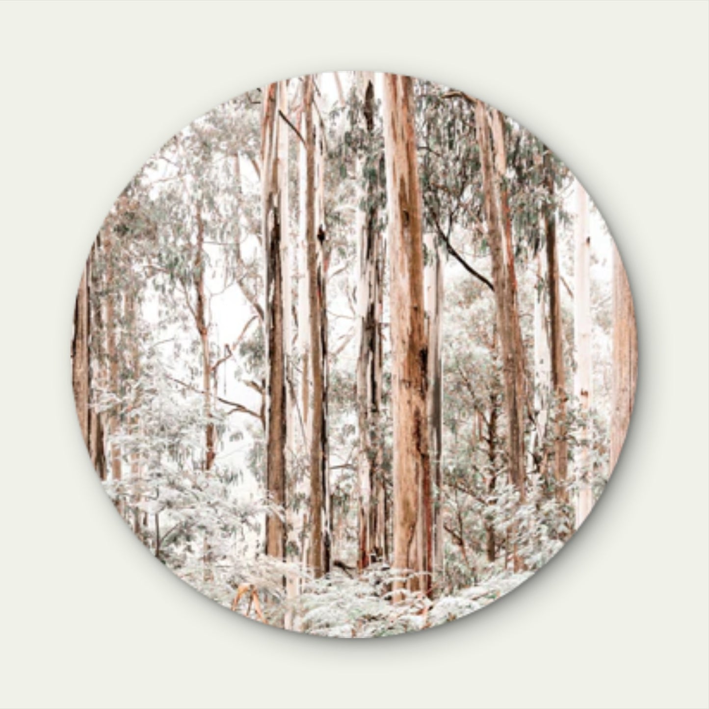 Pastel Colored Gum Tree Forest Acrylic Glass Rounded Print Tempered Glass Wall Art 100% Made in Australia Ready to Hang