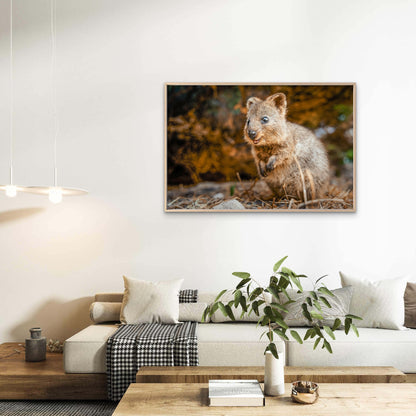 Quokka Western Australia Wall Art Decor 100% Australian Made