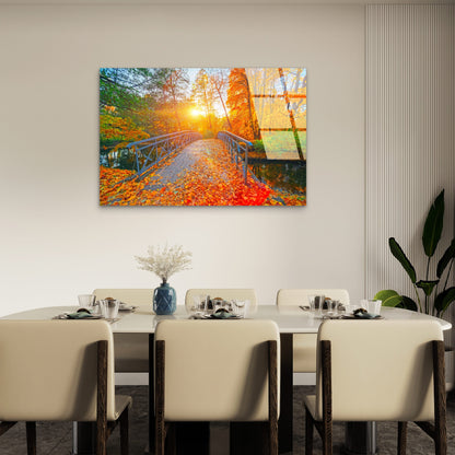 Autumn Forest Bridge Sunlight Glass Printing Wall Art Australian Made Quality