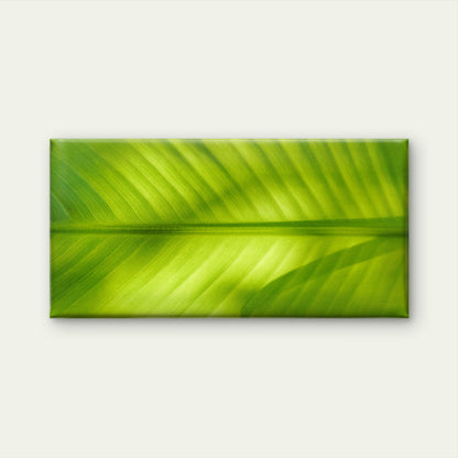 Sunlight Through Green Foliage Wall Art Canvas Office Home Room Framed 120x60cm