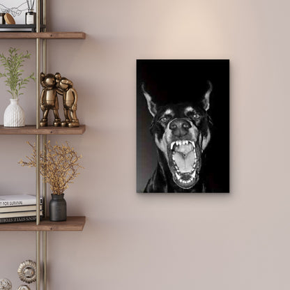 Black & White Aggressive Doberman 60x90cm Metal Print Ready to Hang - Bella Home Decor