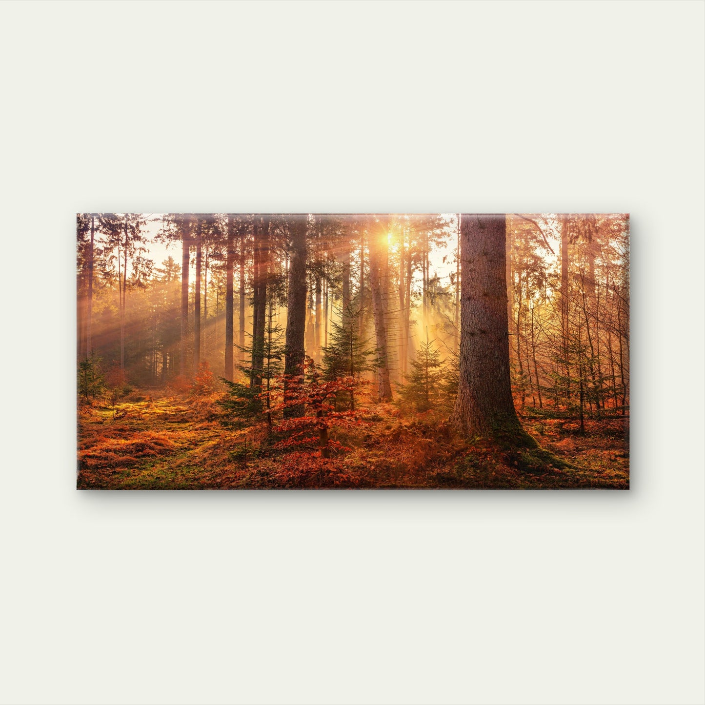 Autumn Forest Sun Light Wall Art Canvas Office Home Room Framed 120x60cm