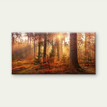 Autumn Forest Sun Light Wall Art Canvas Office Home Room Framed 120x60cm