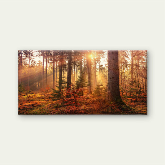 Autumn Forest Sun Light Wall Art Canvas Office Home Room Framed 120x60cm
