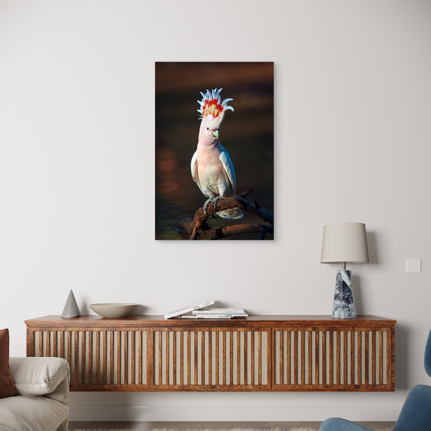Australian Pink Major Mitchell Cockatoo 40x60cm Metal Print Ready to Hang