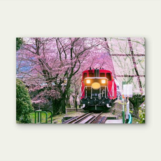 Japan Cherry Blossom Red Train Acrylic Glass Printing Wall Art Australian Made Quality