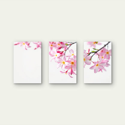 3pcs Pink Plumeria Frangipani Tree Branch Flower Wall Art Set Canvas Framed 50x70cm - High Quality Print 100% Australian Made Wall Canvas Ready to Hang
