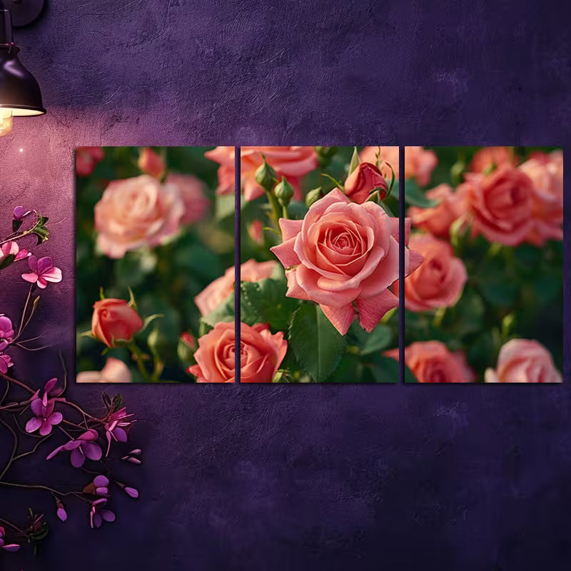 3pcs Rose Floral Garden Illustration Wall Art Set Canvas Framed 40x60cm - High Quality Print 100% Australian Made Wall Canvas Ready to Hang