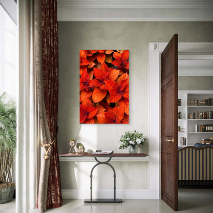 Vibrant Red Orange Coleus Leaves Foliage 40x60cm Metal Print Ready to Hang
