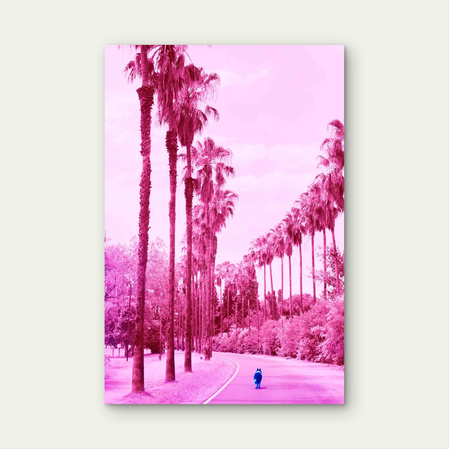 Pink Paradise Palm Promenade Metal Print Ready to Hang - Bella Home Decor
