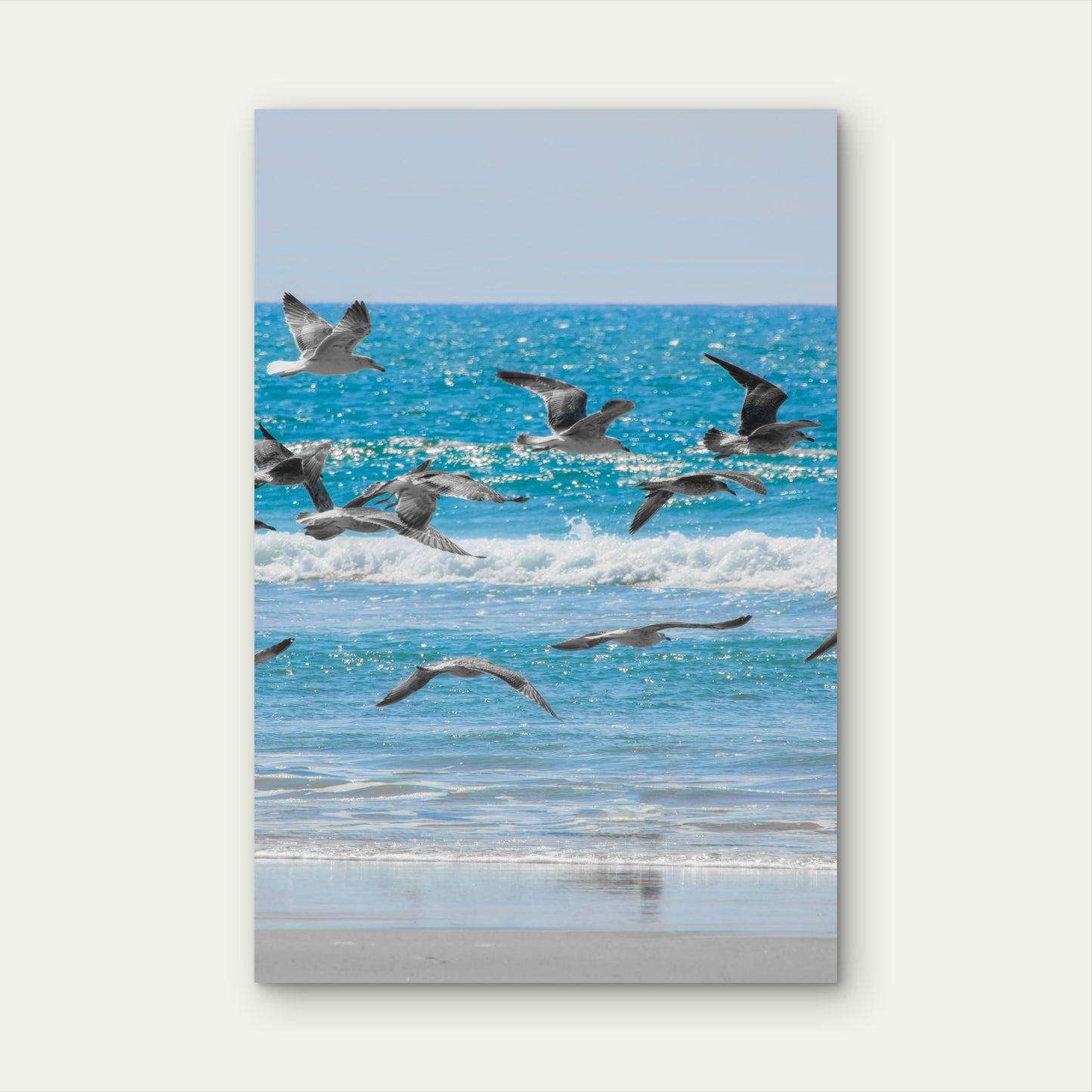 A Flock Of Seagulls Flying Over The Ocean 40x60cm Metal Print Ready to Hang
