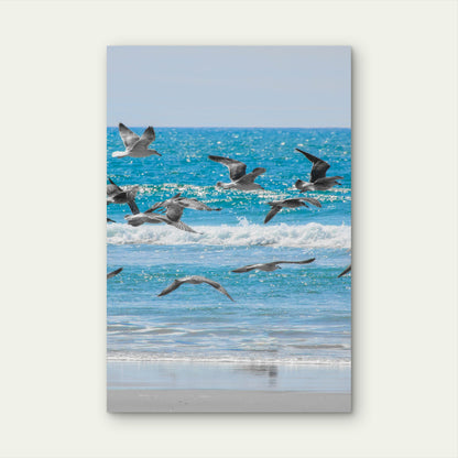 A Flock Of Seagulls Flying Over The Ocean 40x60cm Metal Print Ready to Hang
