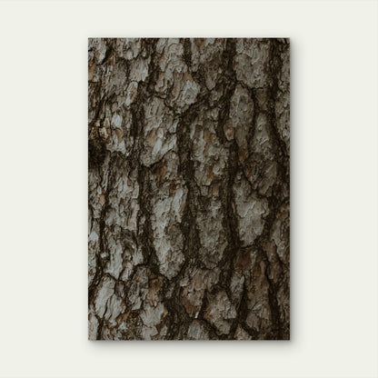 Close-Up of Tree Bark 60x90cm Metal Print Ready to Hang