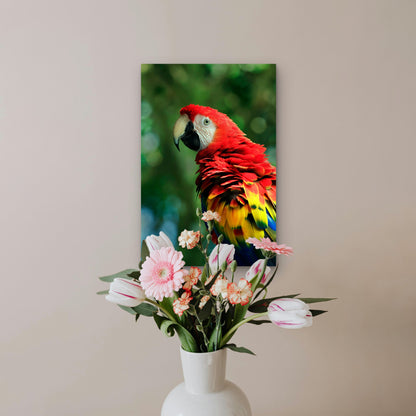 Scarlet Macaw Standing on Top of a Tree 40x60cm Metal Print Ready to Hang