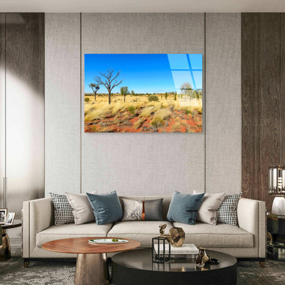 Outback Red Desert Spinifex Grass    Acrylic   Glass Printing Wall Art Australian Made Quality