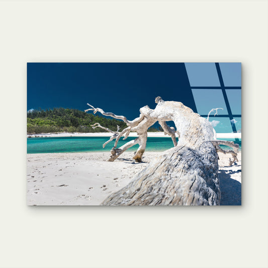 Whitehaven Beach Driftwood Glass Printing Wall Art Australian Made Quality