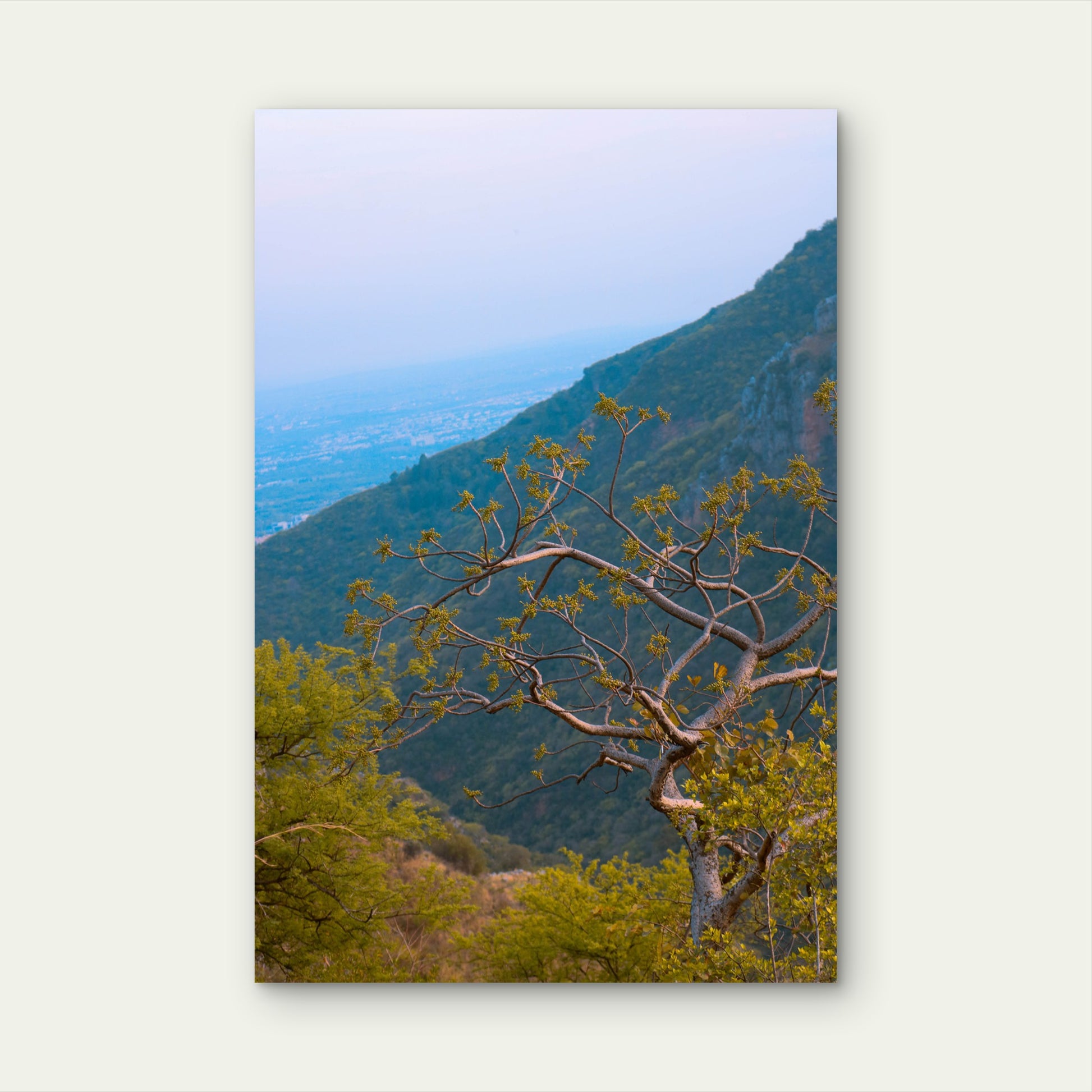 Mountain Valley Overlook Greenery 40x60cm Metal Print Ready to Hang