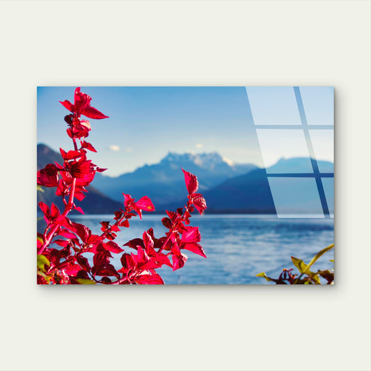 Vibrant Red Leaves Alpine Lake Glass Printing Wall Art Australian Made Quality