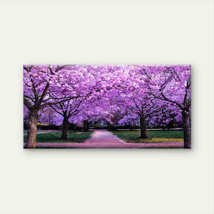 Pink Cherry Blossom Walkway Wall Art Canvas Office Home Room Framed 120x60cm