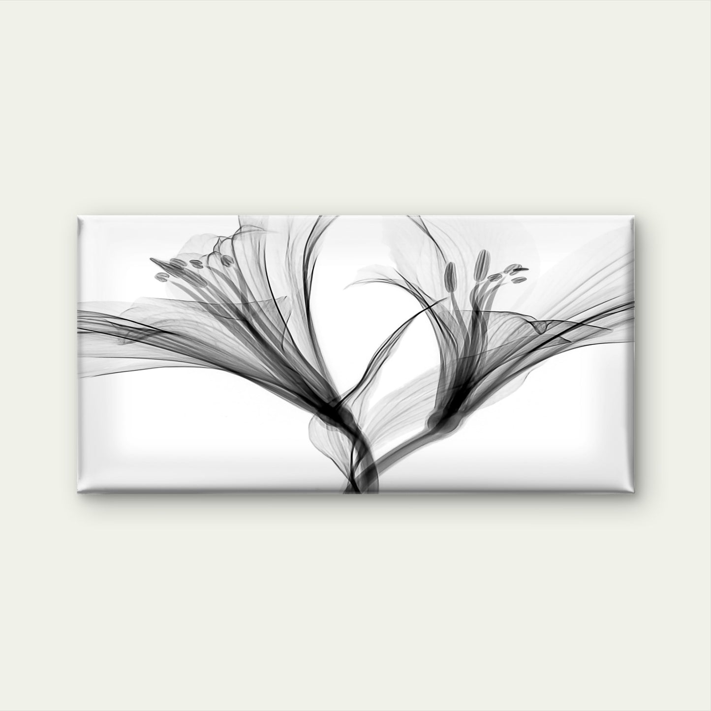 Greyscale Flowers Painting Wall Art Canvas Office Home Room Framed 120x60cm