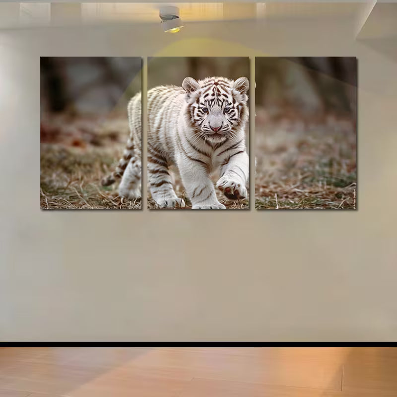 3pcs White Tiger Cub Illustration Wall Art Set Canvas Framed 60x90cm - High Quality Print 100% Australian Made Wall Canvas Ready to Hang