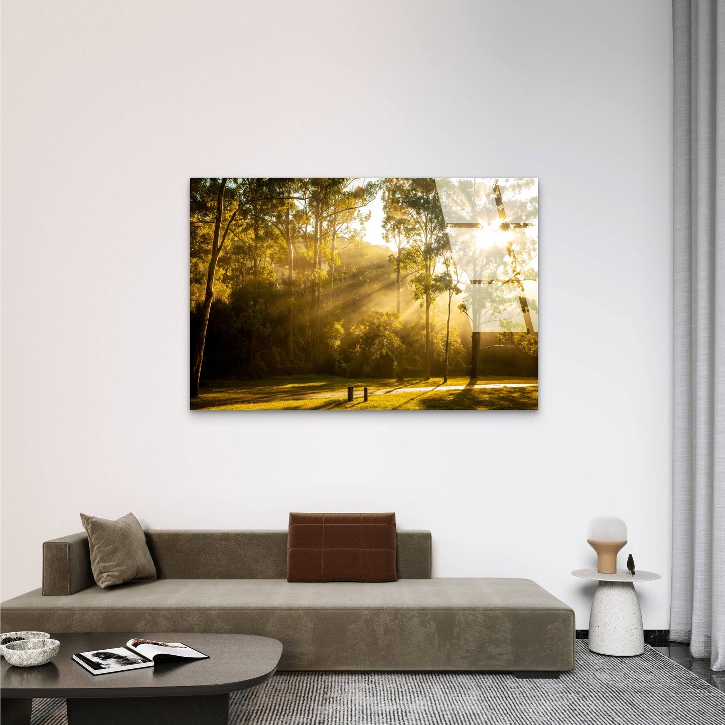 Sunlit Eucalyptus Forest Australian Bushland Landscape Acrylic Glass Printing Wall Art Australian Made Quality