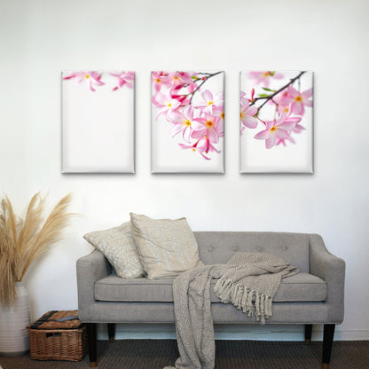 3pcs Pink Plumeria Frangipani Tree Branch Flower Wall Art Set Canvas Framed 60x90cm - High Quality Print 100% Australian Made Wall Canvas Ready to Hang