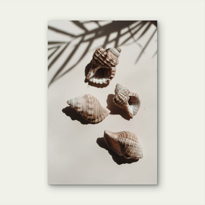 Three Seashells on White with Palm Shadow 60x90cm Metal Print Ready to Hang