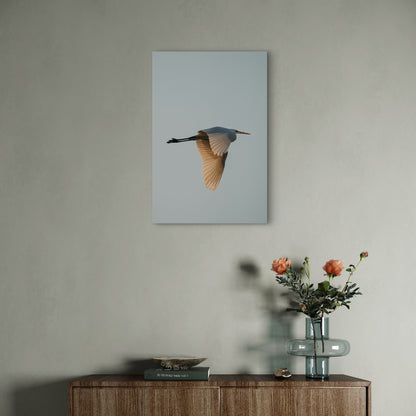 A Great Egret in Flight Against a Pale Sky 40x60cm Metal Print Ready to Hang