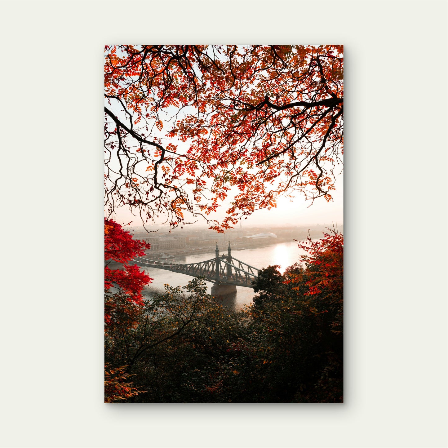 Széchenyi Chain Bridge in Autumn, Budapest 40x60cm Metal Print Ready to Hang