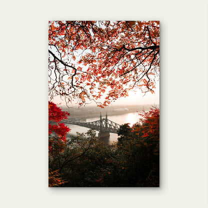 Széchenyi Chain Bridge in Autumn, Budapest 40x60cm Metal Print Ready to Hang