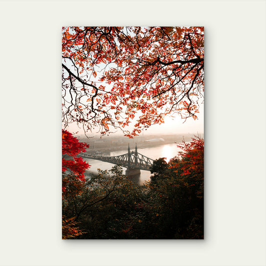 Széchenyi Chain Bridge in Autumn, Budapest 60x90cm Metal Print Ready to Hang
