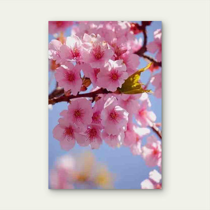 Vibrant Pink & White Floral Desig 60x90cm Metal Print Ready to Hang