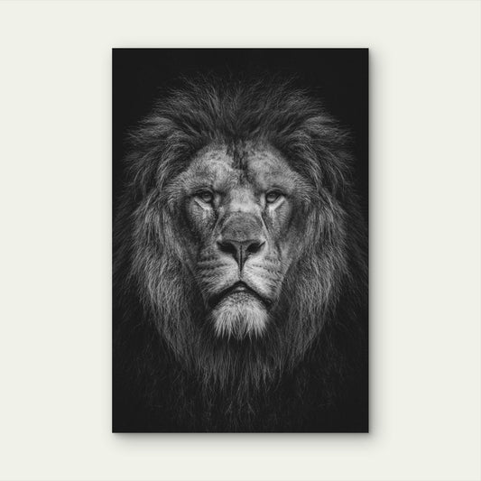 Black And White Photograph Of A Male Lion's Face 60x90cm Metal Print Ready to Hang