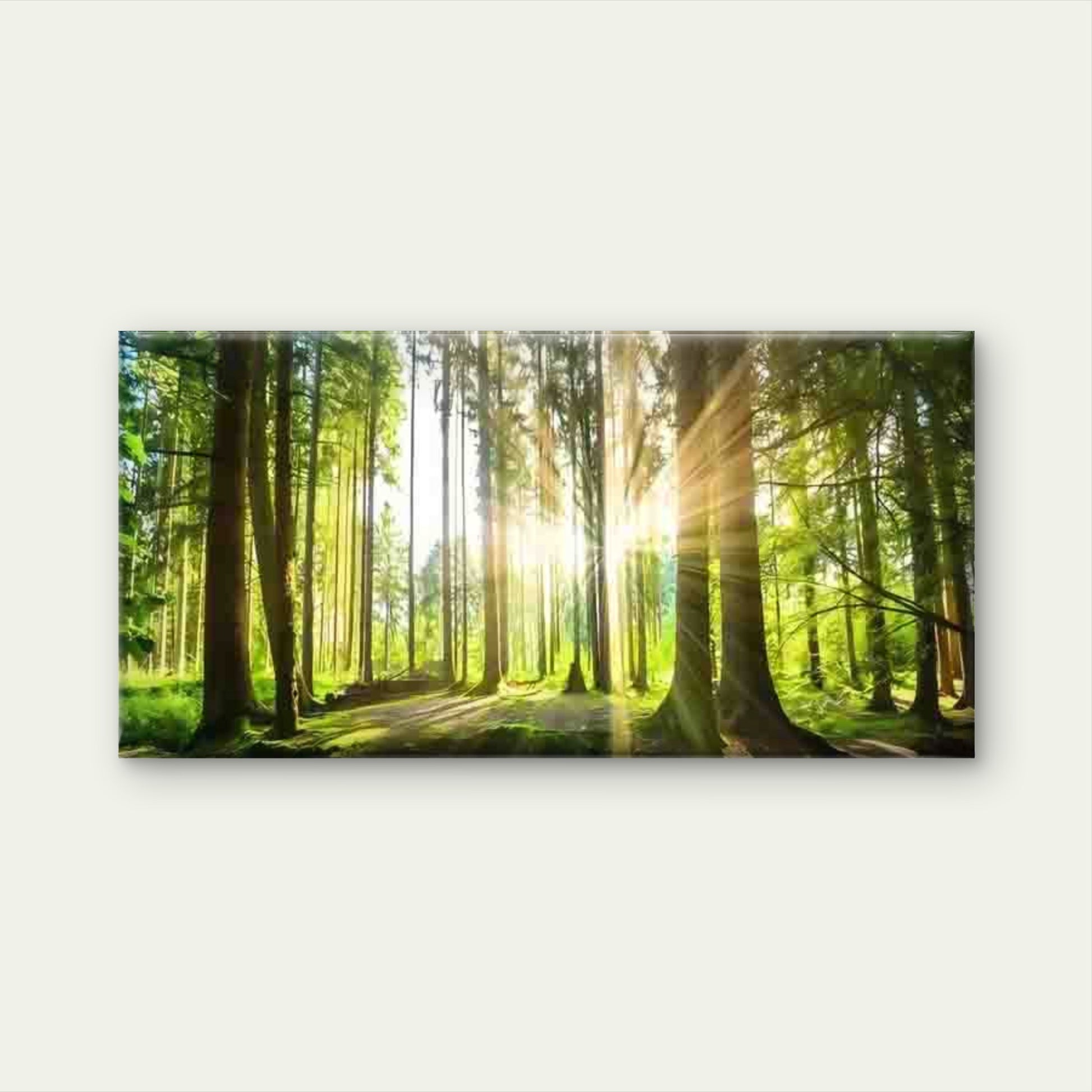 Sunlit Green Forest Landscape Wall Art Canvas Office Home Room Framed 120x60cm - Bella Home Decor