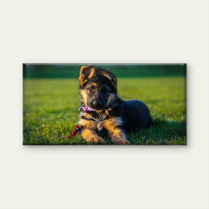 German Shepherd Puppy Dog Wall Art Canvas Office Home Room Framed 120x60cm